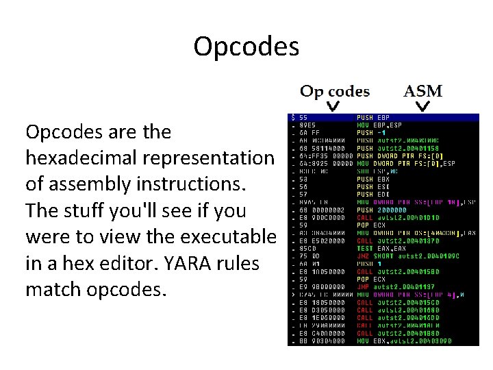 Opcodes are the hexadecimal representation of assembly instructions. The stuff you'll see if you