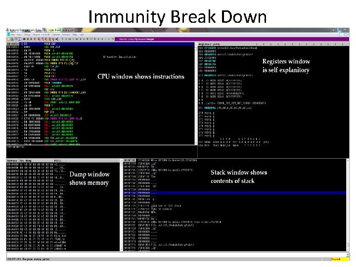 Immunity Break Down 