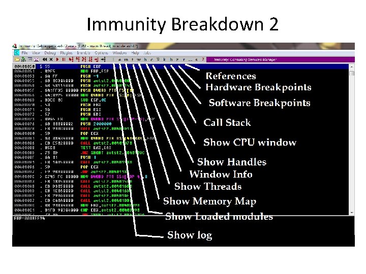 Immunity Breakdown 2 