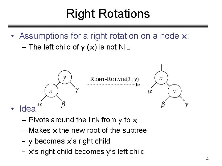 Right Rotations • Assumptions for a right rotation on a node x: – The