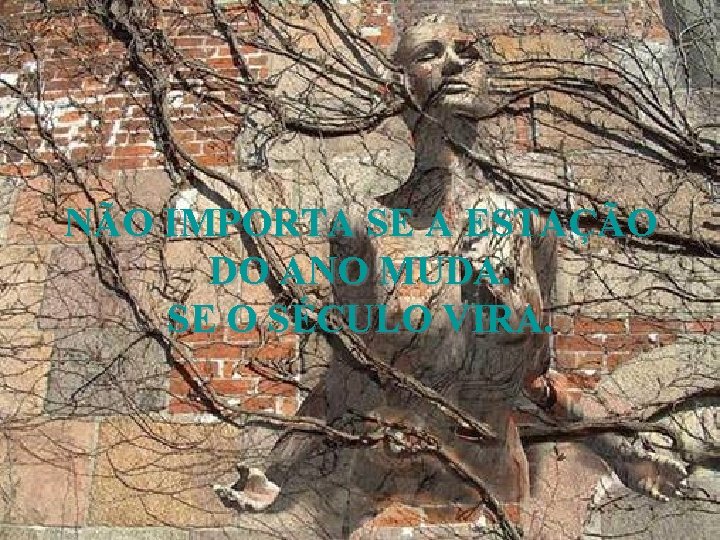 NÃO IMPORTA SE A ESTAÇÃO DO ANO MUDA. SE O SÉCULO VIRA. 