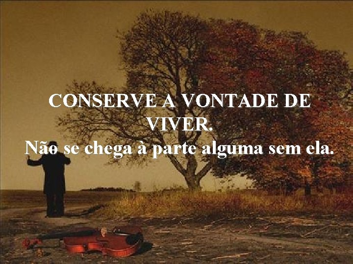 CONSERVE A VONTADE DE VIVER. Não se chega à parte alguma sem ela. 