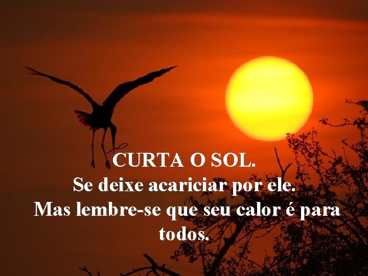 CURTA O SOL. Se deixe acariciar por ele. Mas lembre-se que seu calor é