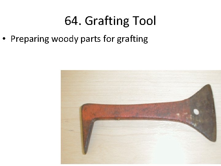 64. Grafting Tool • Preparing woody parts for grafting 