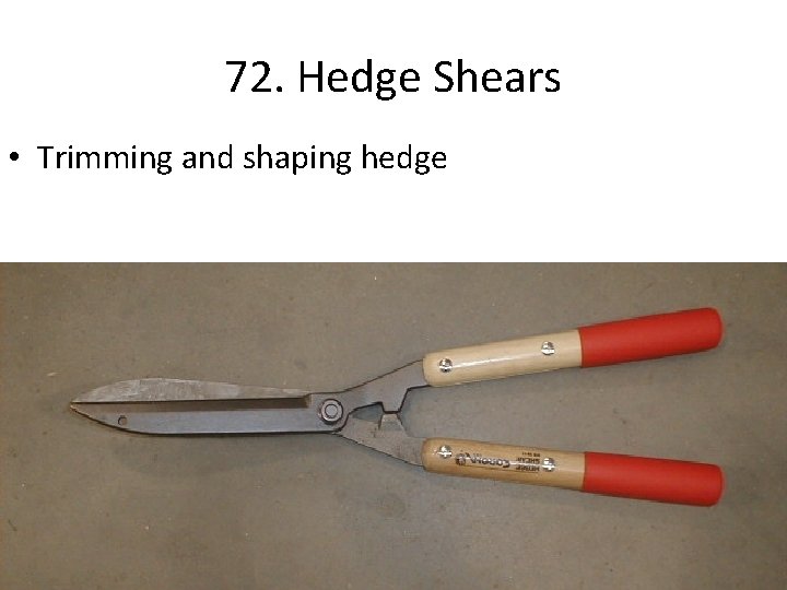 72. Hedge Shears • Trimming and shaping hedge 