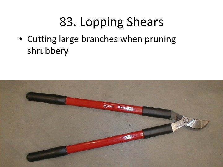 83. Lopping Shears • Cutting large branches when pruning shrubbery 