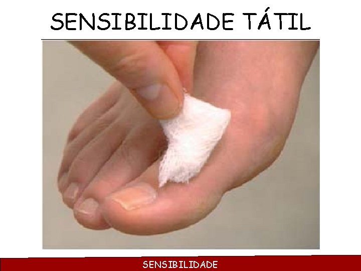 SENSIBILIDADE TÁTIL SENSIBILIDADE 