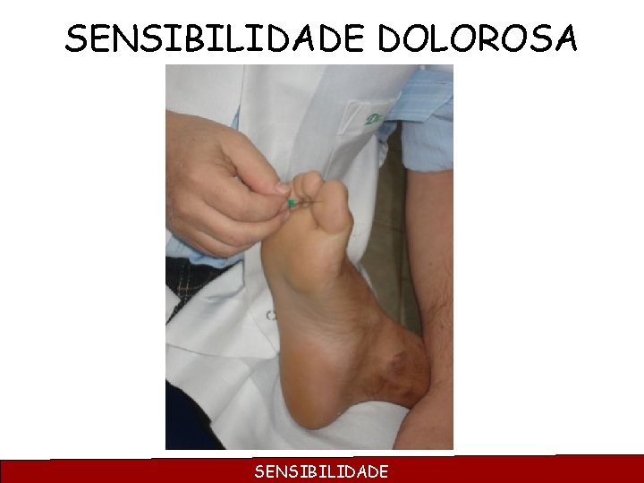 SENSIBILIDADE DOLOROSA SENSIBILIDADE 