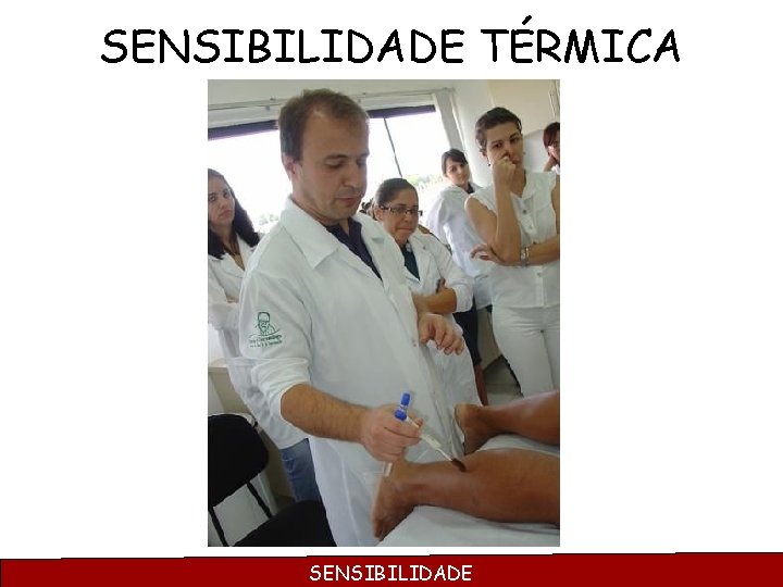 SENSIBILIDADE TÉRMICA SENSIBILIDADE 