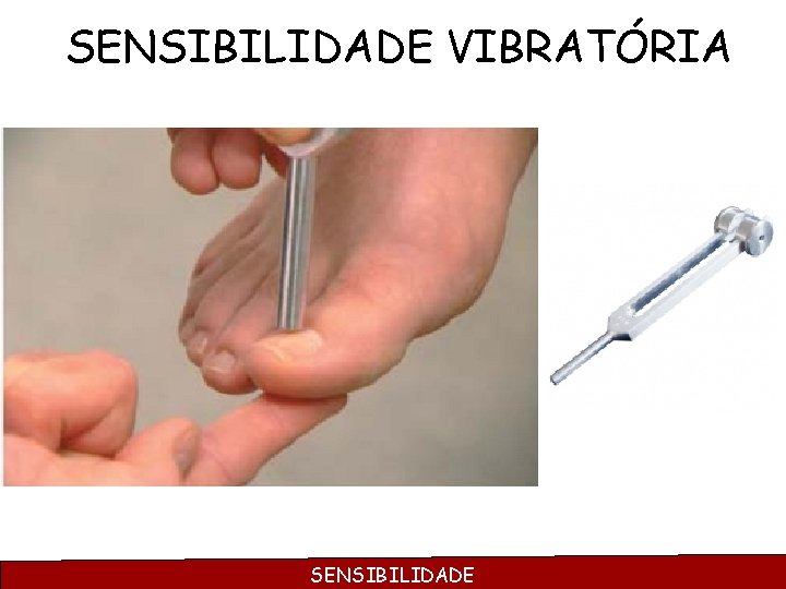 SENSIBILIDADE VIBRATÓRIA SENSIBILIDADE 