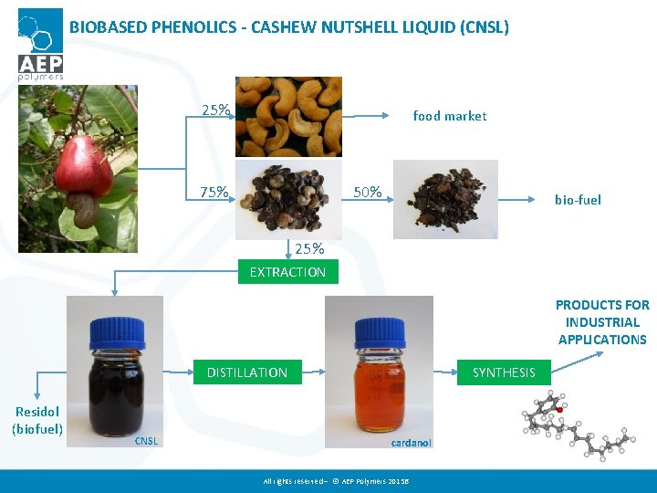 BIOBASED PHENOLICS - CASHEW NUTSHELL LIQUID (CNSL) 25% food market 75% 50% bio-fuel 25%