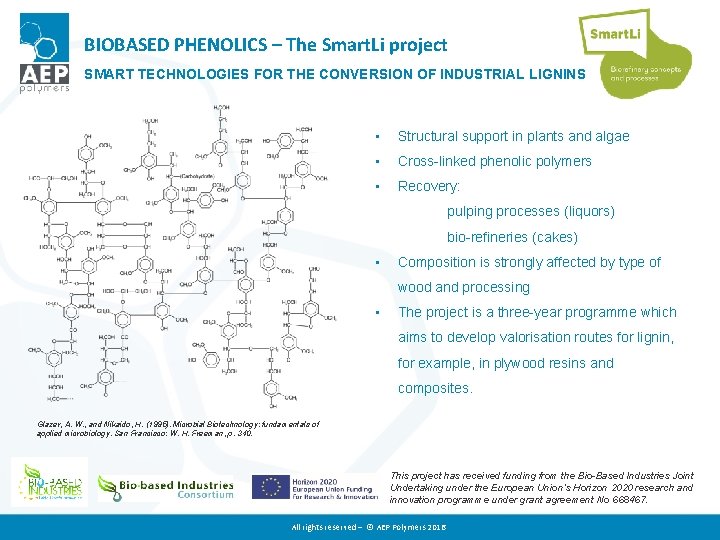 BIOBASED PHENOLICS – The Smart. Li project SMART TECHNOLOGIES FOR THE CONVERSION OF INDUSTRIAL