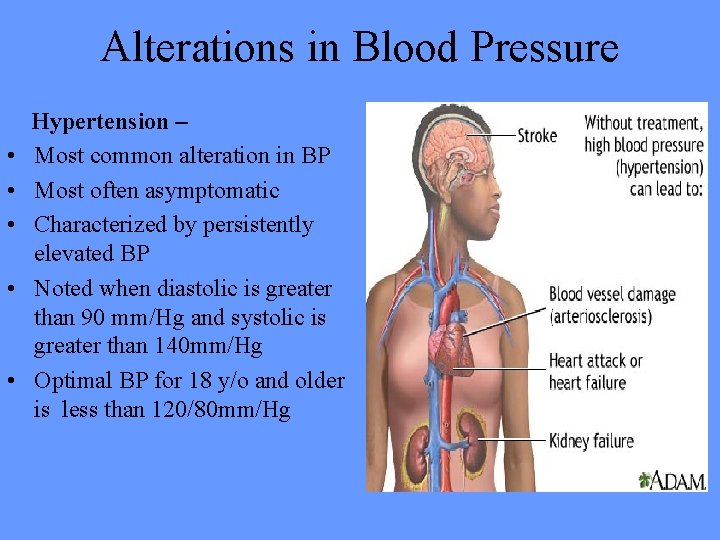 Alterations in Blood Pressure • • • Hypertension – Most common alteration in BP