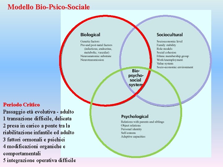 Modello Bio-Psico-Sociale Periodo Critico Passaggio età evolutiva - adulto 1 transazione difficile, delicata 2