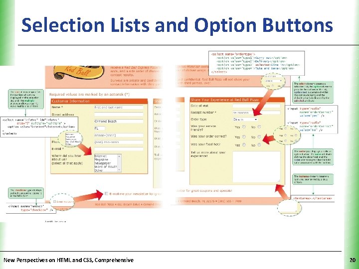 Selection Lists and Option Buttons. XP New Perspectives on HTML and CSS, Comprehensive 20 Selection Lists and Option Buttons. XP New Perspectives on HTML and CSS, Comprehensive 20