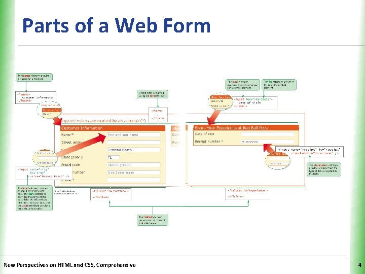 Parts of a Web Form New Perspectives on HTML and CSS, Comprehensive XP 4 Parts of a Web Form New Perspectives on HTML and CSS, Comprehensive XP 4