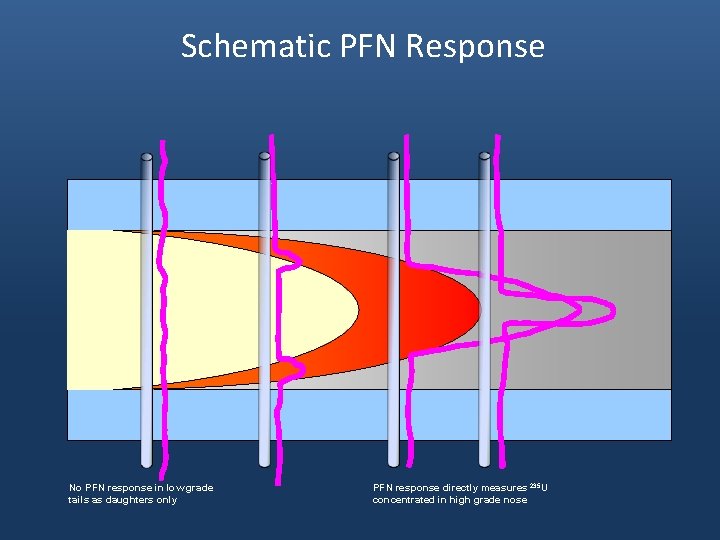 Schematic PFN Response No PFN response in low grade tails as daughters only PFN