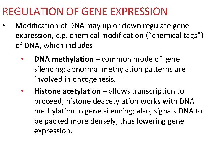 REGULATION OF GENE EXPRESSION • Modification of DNA may up or down regulate gene