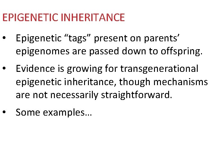 EPIGENETIC INHERITANCE • Epigenetic “tags” present on parents’ epigenomes are passed down to offspring.