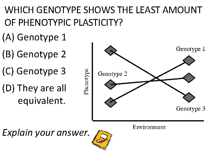 WHICH GENOTYPE SHOWS THE LEAST AMOUNT OF PHENOTYPIC PLASTICITY? (A) Genotype 1 (B) Genotype