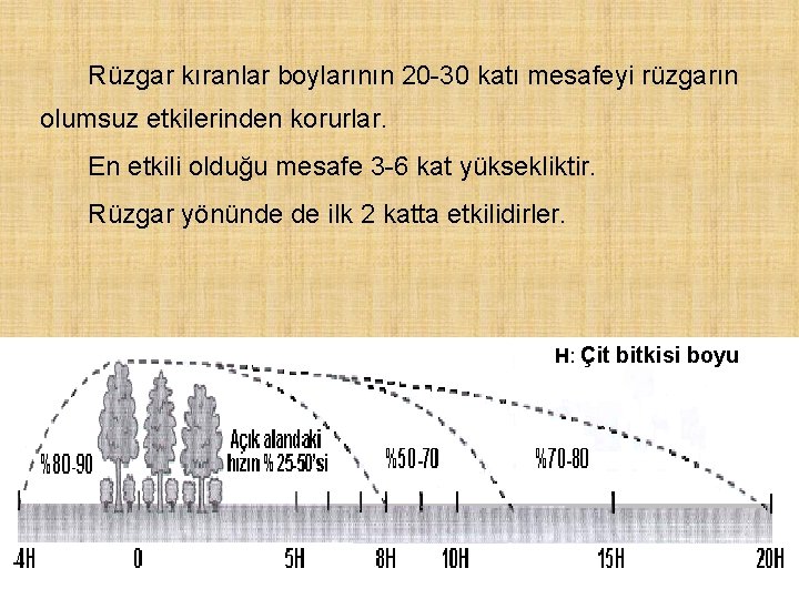 Rüzgar kıranlar boylarının 20 -30 katı mesafeyi rüzgarın olumsuz etkilerinden korurlar. En etkili olduğu