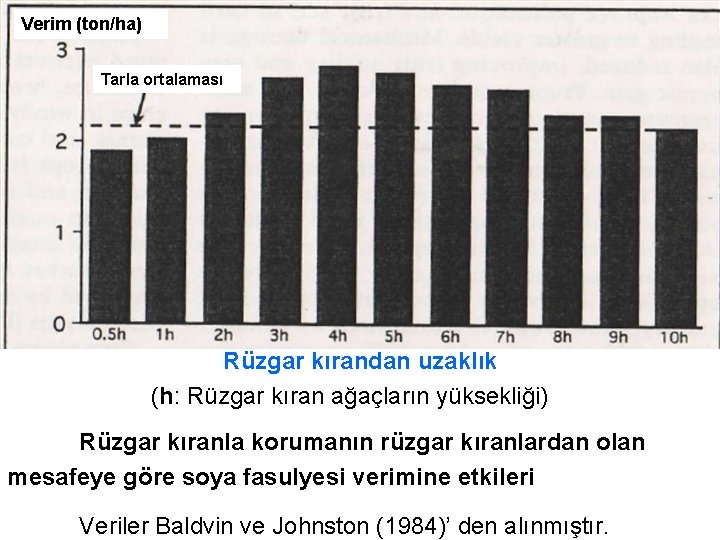 Verim (ton/ha) Tarla ortalaması Rüzgar kırandan uzaklık (h: Rüzgar kıran ağaçların yüksekliği) Rüzgar kıranla