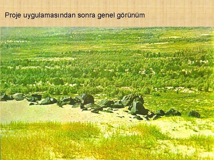 Proje uygulamasından sonra genel görünüm 