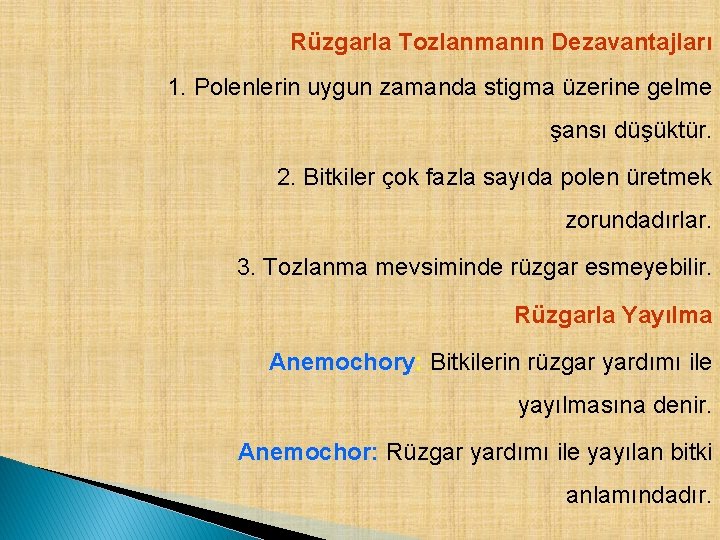 Rüzgarla Tozlanmanın Dezavantajları 1. Polenlerin uygun zamanda stigma üzerine gelme şansı düşüktür. 2. Bitkiler