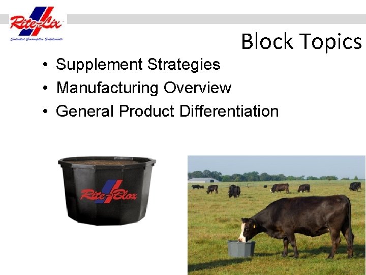 Block Topics • Supplement Strategies • Manufacturing Overview • General Product Differentiation 