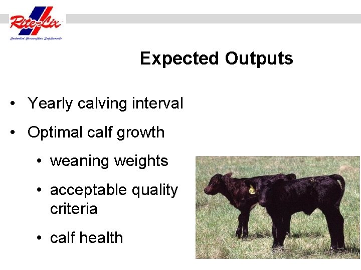 Expected Outputs • Yearly calving interval • Optimal calf growth • weaning weights •