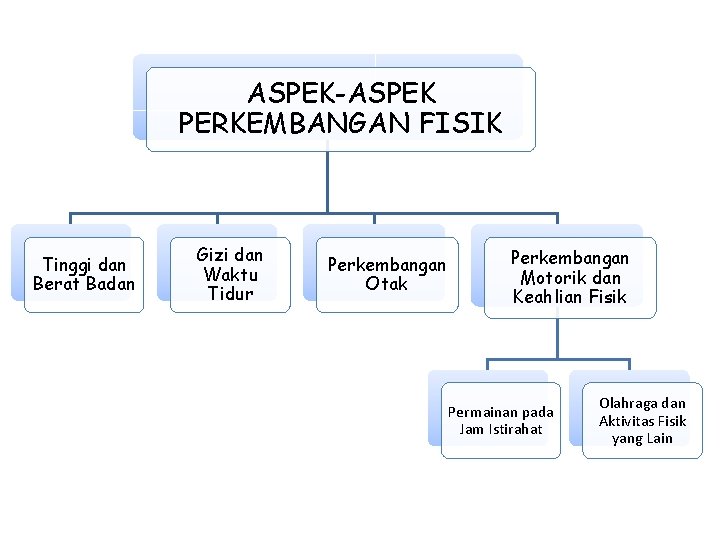 ASPEK-ASPEK PERKEMBANGAN FISIK Tinggi dan Berat Badan Gizi dan Waktu Tidur Perkembangan Otak Perkembangan