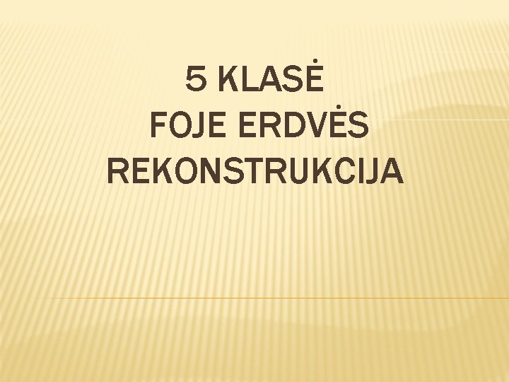 5 KLASĖ FOJE ERDVĖS REKONSTRUKCIJA 