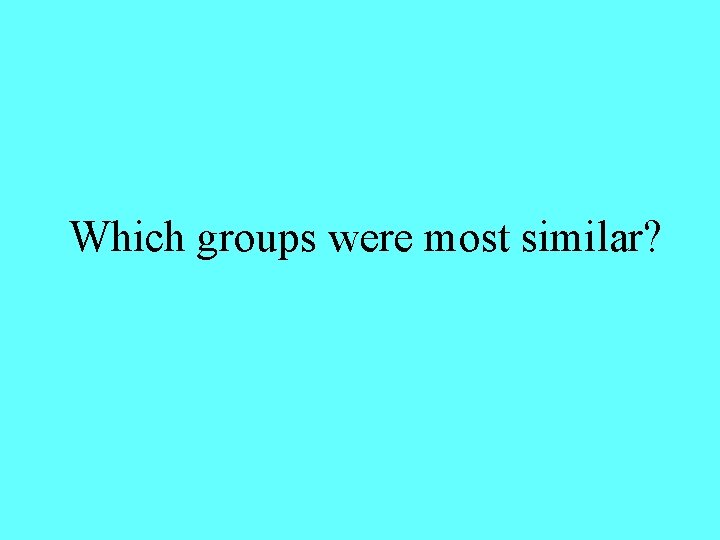 Which groups were most similar? 