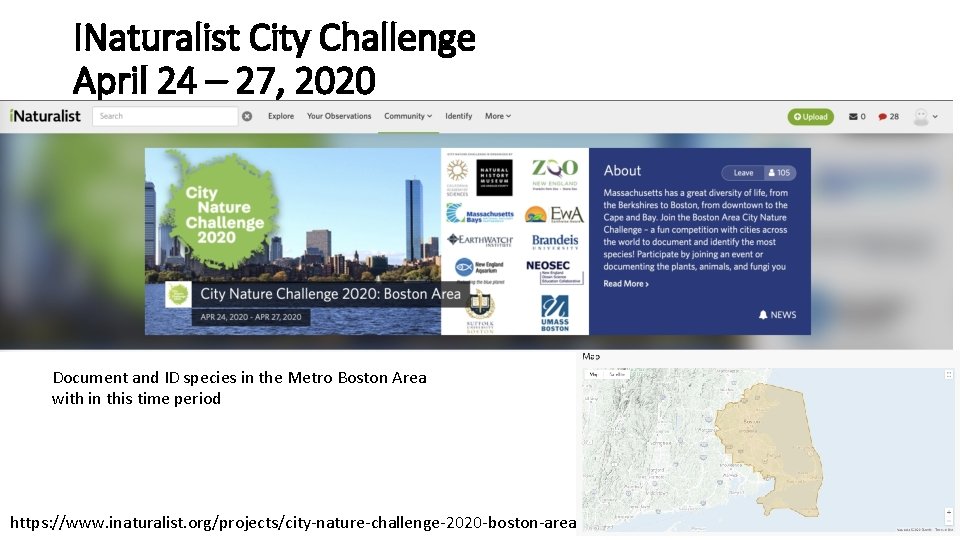 INaturalist City Challenge April 24 – 27, 2020 Document and ID species in the