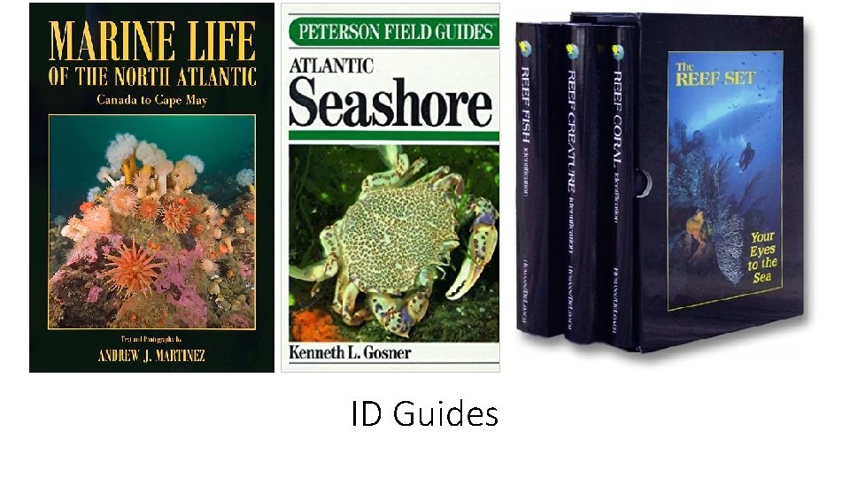 ID Guides 