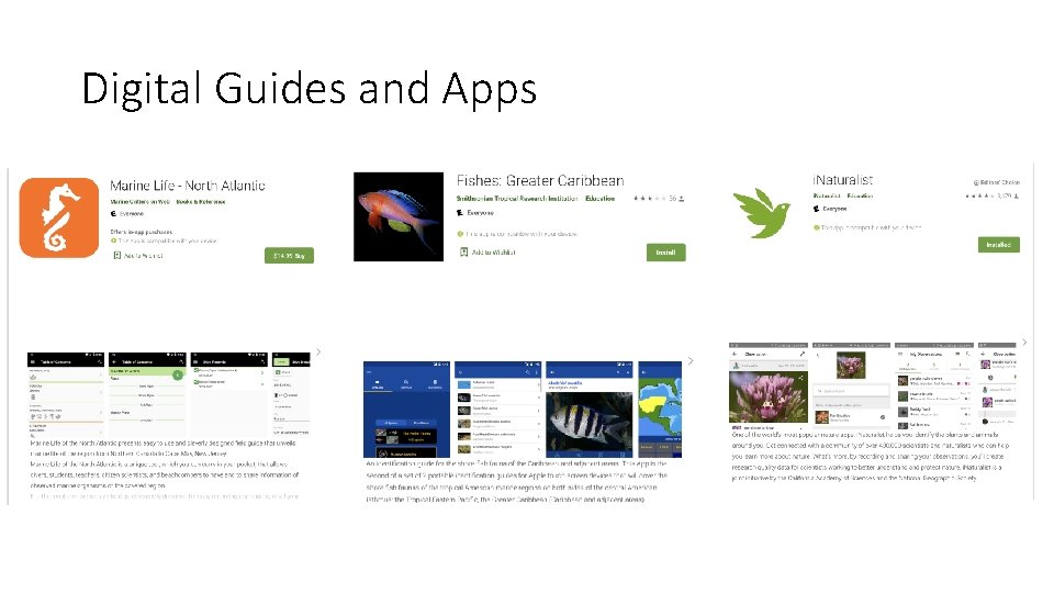 Digital Guides and Apps 