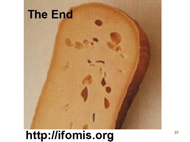 The End http: //ifomis. org 37 