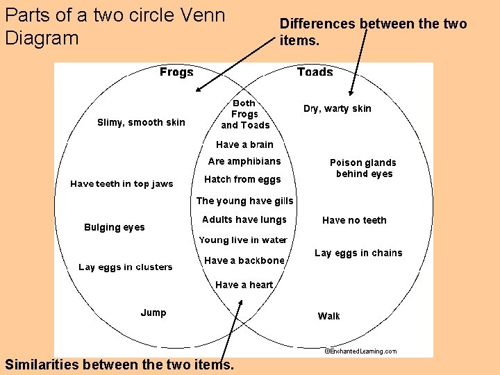 Parts of a two circle Venn Diagram Similarities between the two items. Differences between