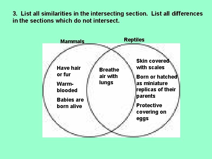 3. List all similarities in the intersecting section. List all differences in the sections