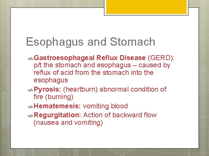 Esophagus and Stomach Gastroesophageal Reflux Disease (GERD): p/t the stomach and esophagus – caused