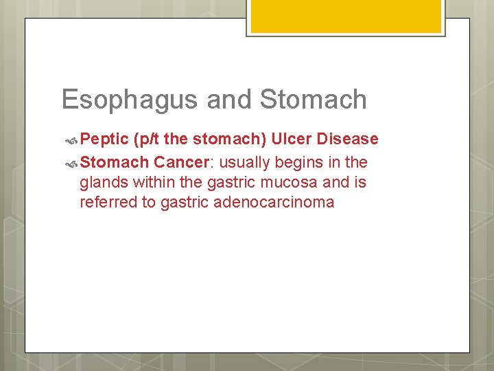 Esophagus and Stomach Peptic (p/t the stomach) Ulcer Disease Stomach Cancer: usually begins in