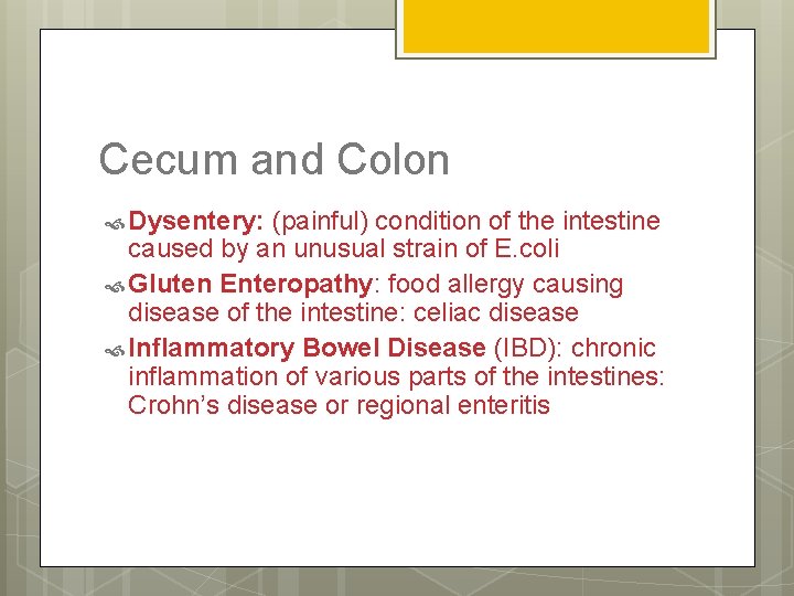 Cecum and Colon Dysentery: (painful) condition of the intestine caused by an unusual strain