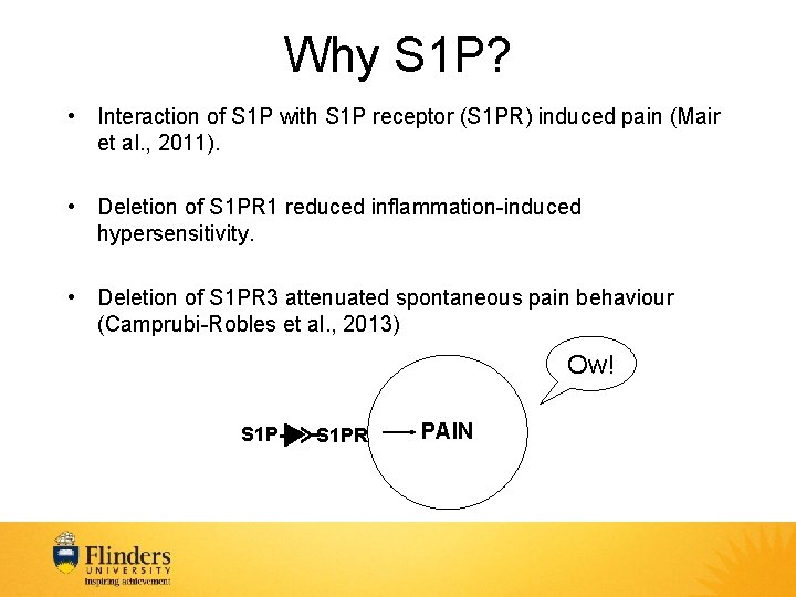 Why S 1 P? • Interaction of S 1 P with S 1 P
