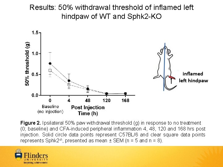 Results: 50% withdrawal threshold of inflamed left hindpaw of WT and Sphk 2 -KO