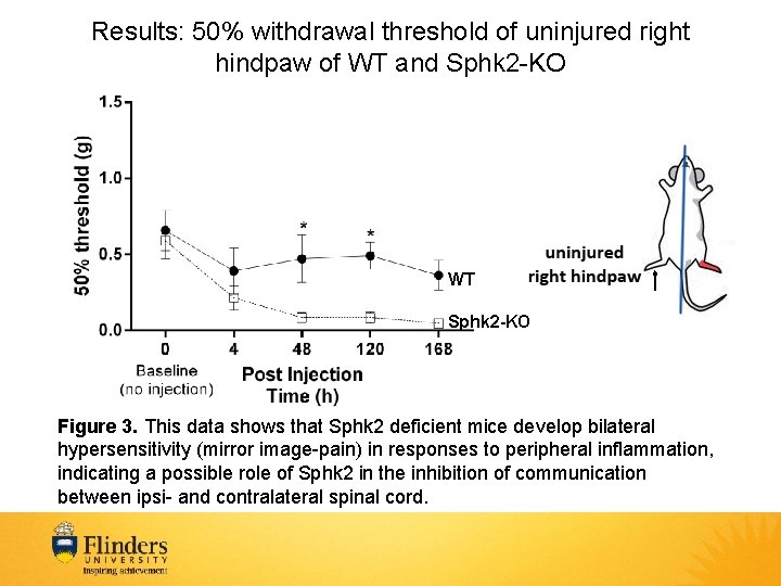 Results: 50% withdrawal threshold of uninjured right hindpaw of WT and Sphk 2 -KO