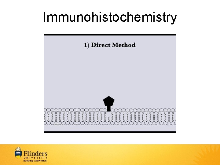 Immunohistochemistry 