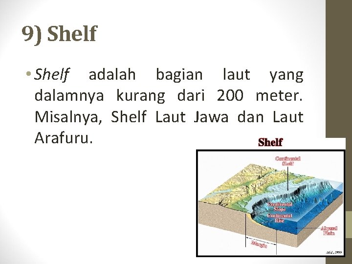 9) Shelf • Shelf adalah bagian laut yang dalamnya kurang dari 200 meter. Misalnya, 9) Shelf • Shelf adalah bagian laut yang dalamnya kurang dari 200 meter. Misalnya,