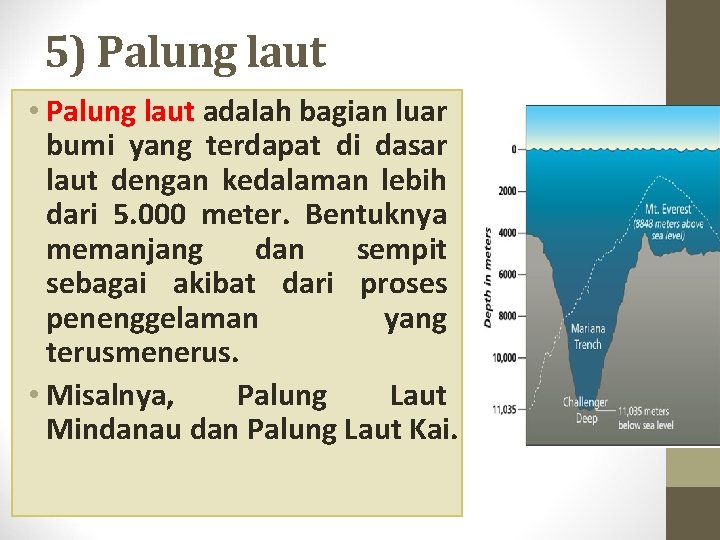 5) Palung laut • Palung laut adalah bagian luar bumi yang terdapat di dasar 5) Palung laut • Palung laut adalah bagian luar bumi yang terdapat di dasar