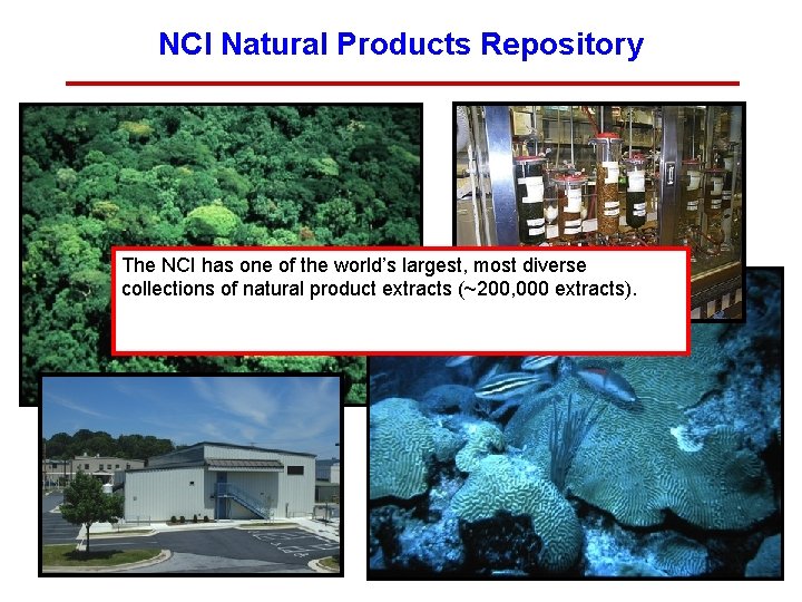 NCI Natural Products Repository The NCI has one of the world’s largest, most diverse