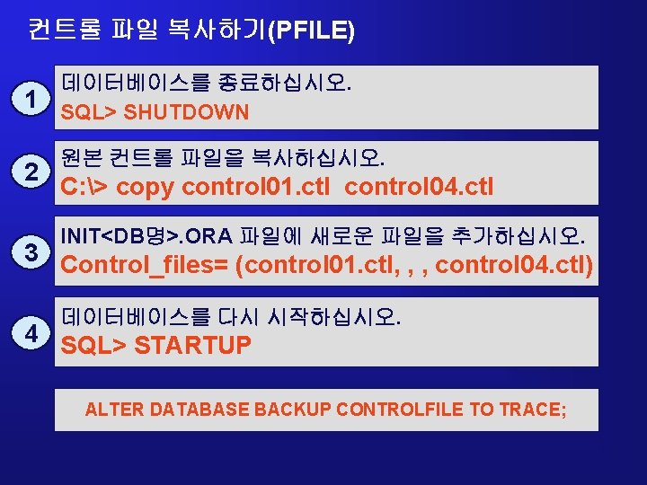 컨트롤 파일 복사하기(PFILE) 1 2 데이터베이스를 종료하십시오. SQL> SHUTDOWN 원본 컨트롤 파일을 복사하십시오. C: